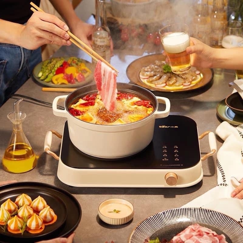 Infrared Stove Is Not Picky Bear A22D1