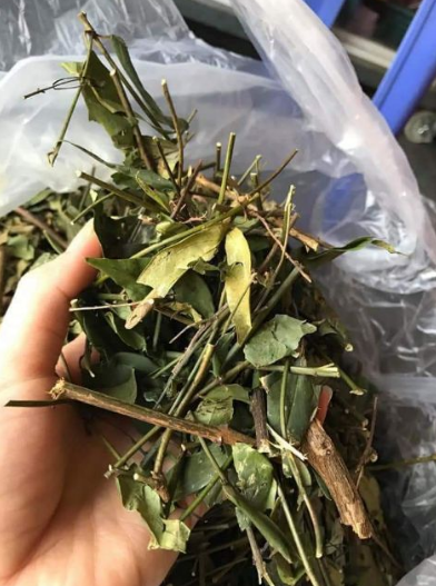 CHÈ VẰNG / TRÀ VẰNG SẺ LỢI SỮA NGUYÊN CHẤT