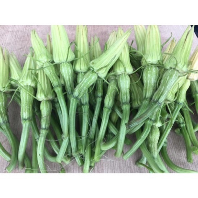 Hạt giống bí siêu nụ- Ăn non 10gr