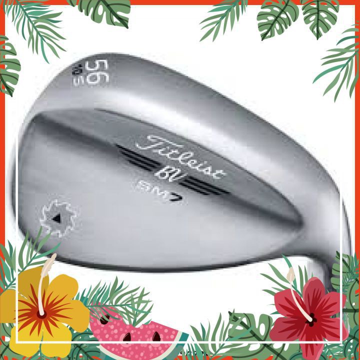 Gậy Golf  Kỹ Thuật