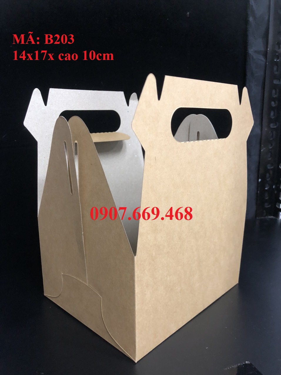HỘP GIẤY TAKEAWAY QUAI XÁCH 100 cái/đơn