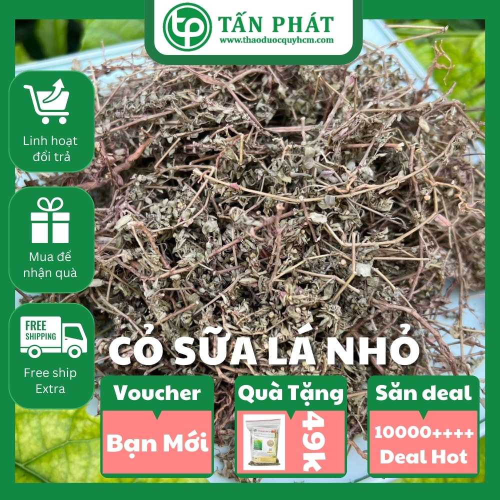 [Hàng mới về] Cỏ sữa lá nhỏ sấy khô 100g - Chuyên dùng để pha trà và sắc nước uống
