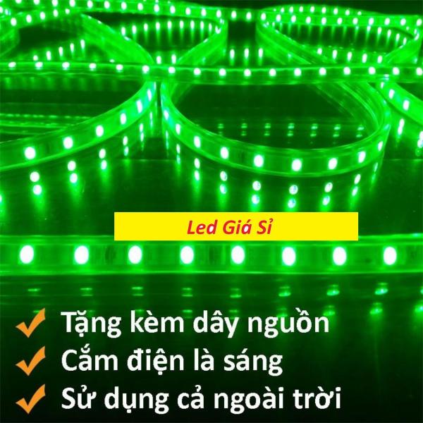 Bảng giá [HCM]Đèn LED dây 4040 10m ống nhựa 220v tặng kèm 1 dây nguồn tốt. Điếp áp: 220V  Chiều dài cuộn: 10m  Chất liệu cao cấp  Màu sắc sáng