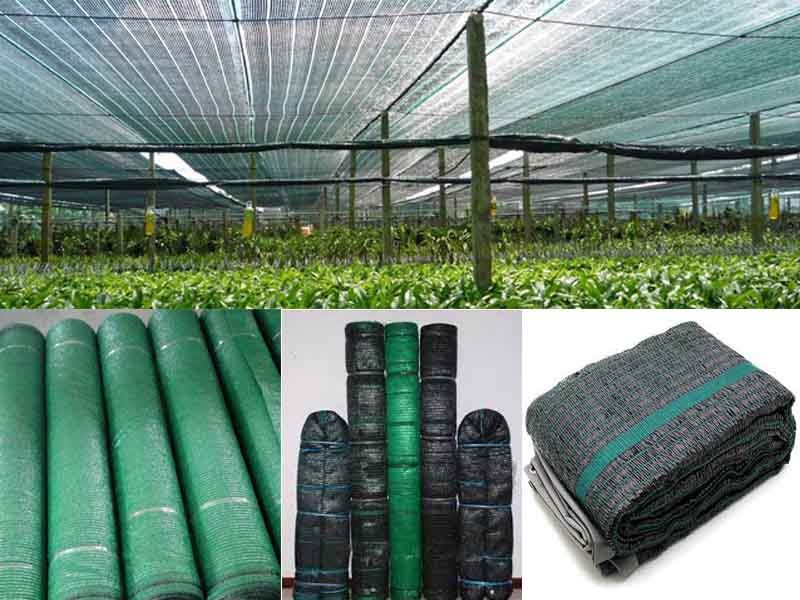 Lưới che nắng thái lan