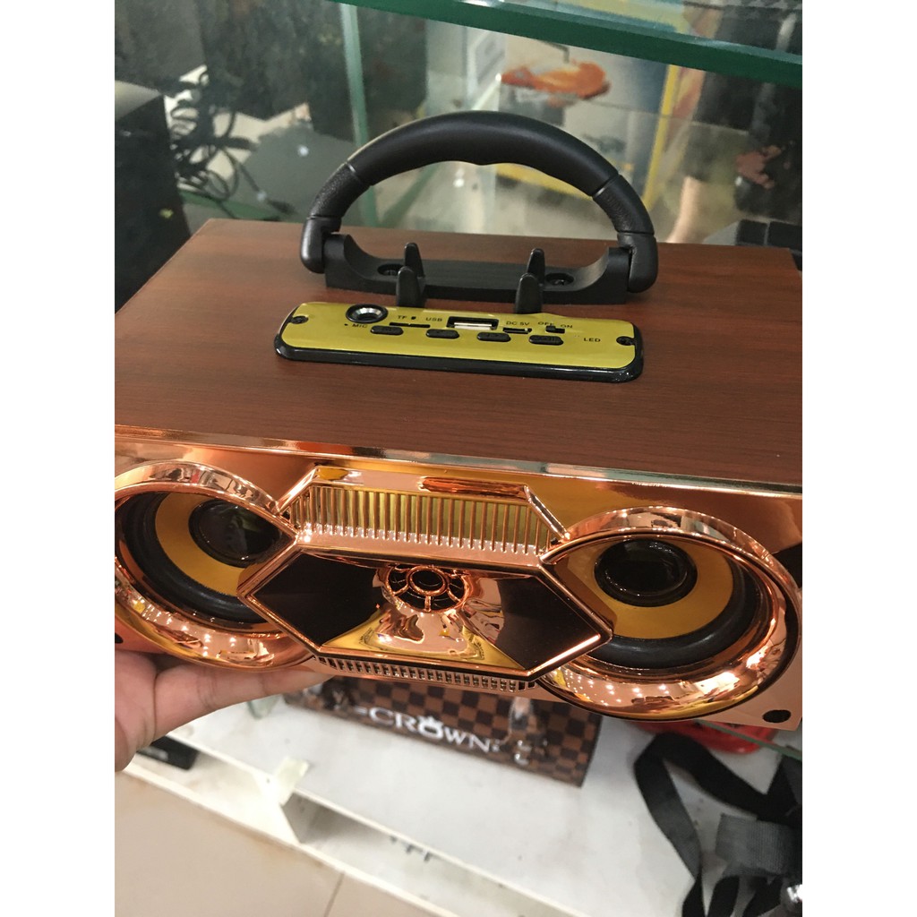 Loa F6 (karaoke, mic)