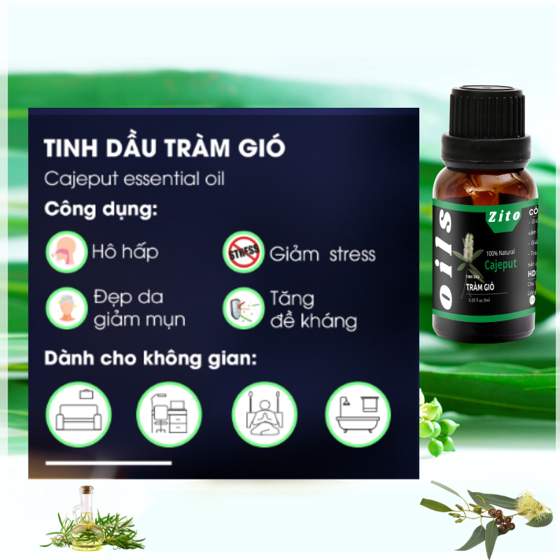[HCM]Tinh Dầu Tràm Gió Zito 10ml