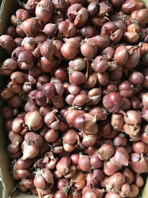 COMBO 2KG HÀNH TÍM TA SẤY KHÔ SIÊU NGON