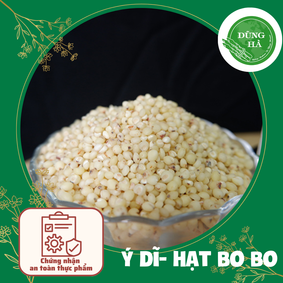 Y Dĩ , Ý Dĩ Nếp 1kg (Hạt Bobo, Y dĩ hữu cơ)