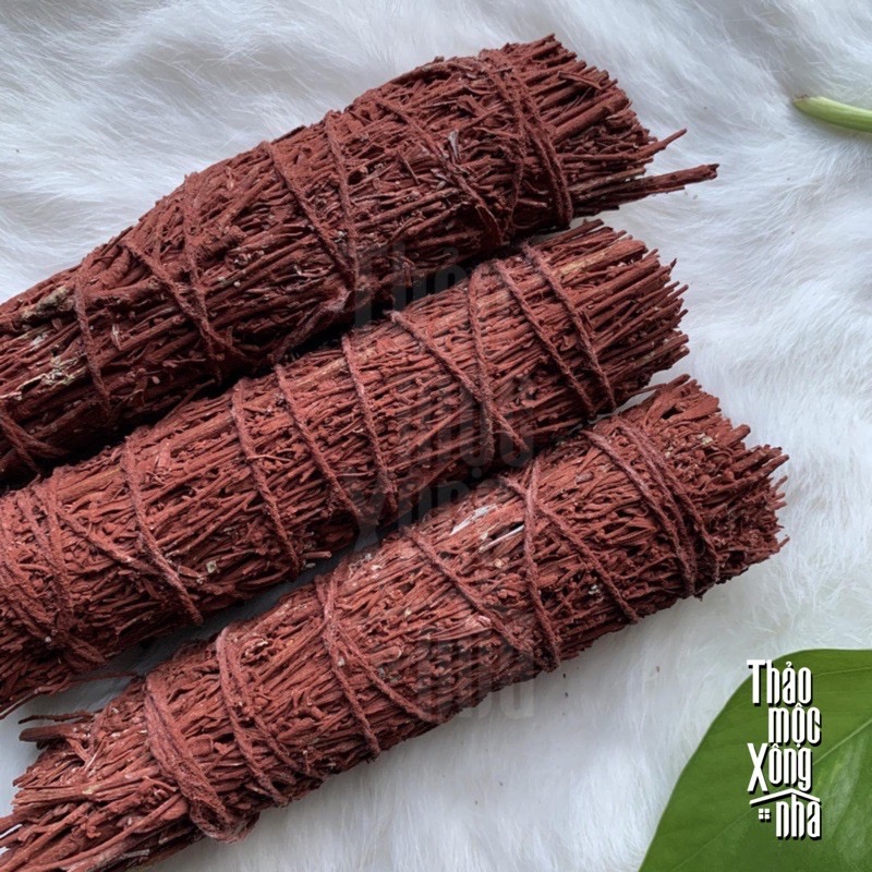 XÔ THƠM ĐỎ (Red Sage) - THẢO MỘC XÔNG NHÀ