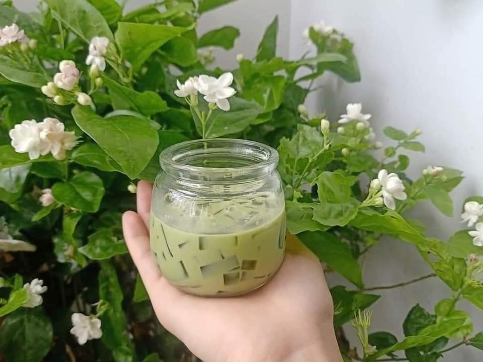 HŨ LÀM SỮA CHUA BÉO THỦY TINH 200ML