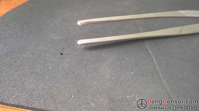 Nhíp thép không gỉ 200