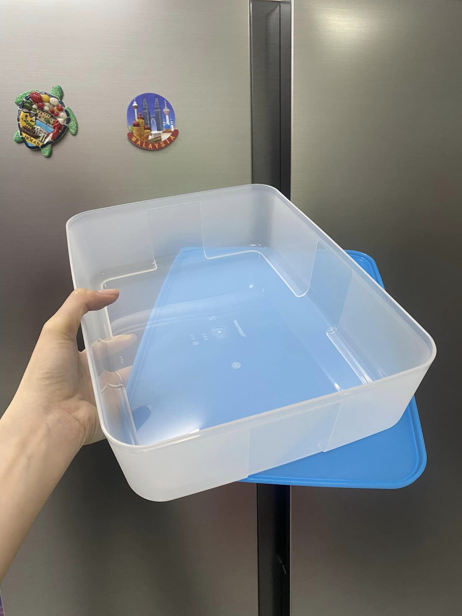 Hộp trữ đông 3.1l tupperware, nhựa nguyên sinh