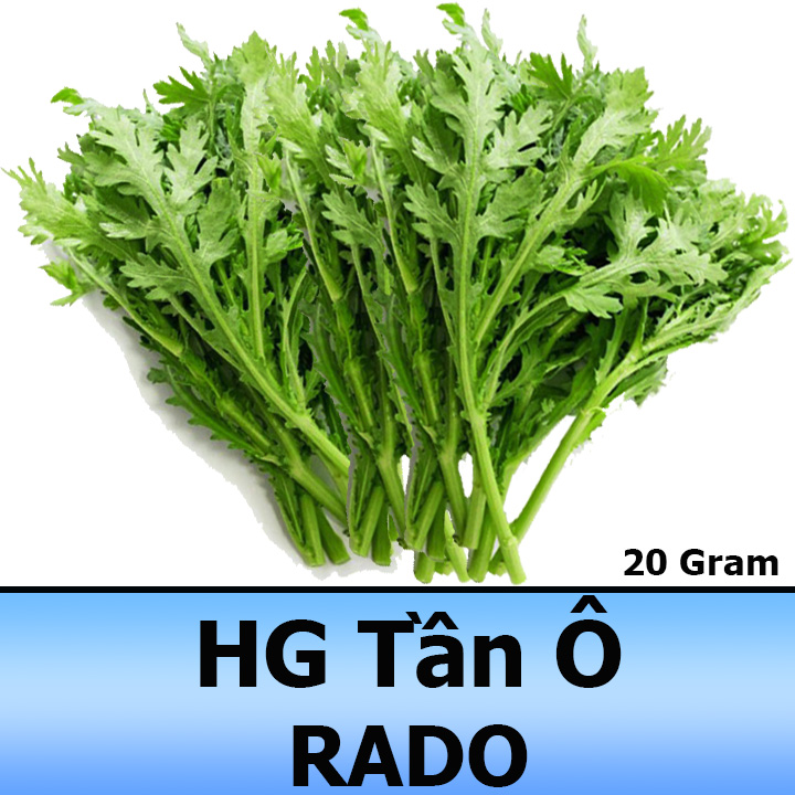 20Gr Hạt Giống Rau Tần Ô Độ Đồng Đều Cao