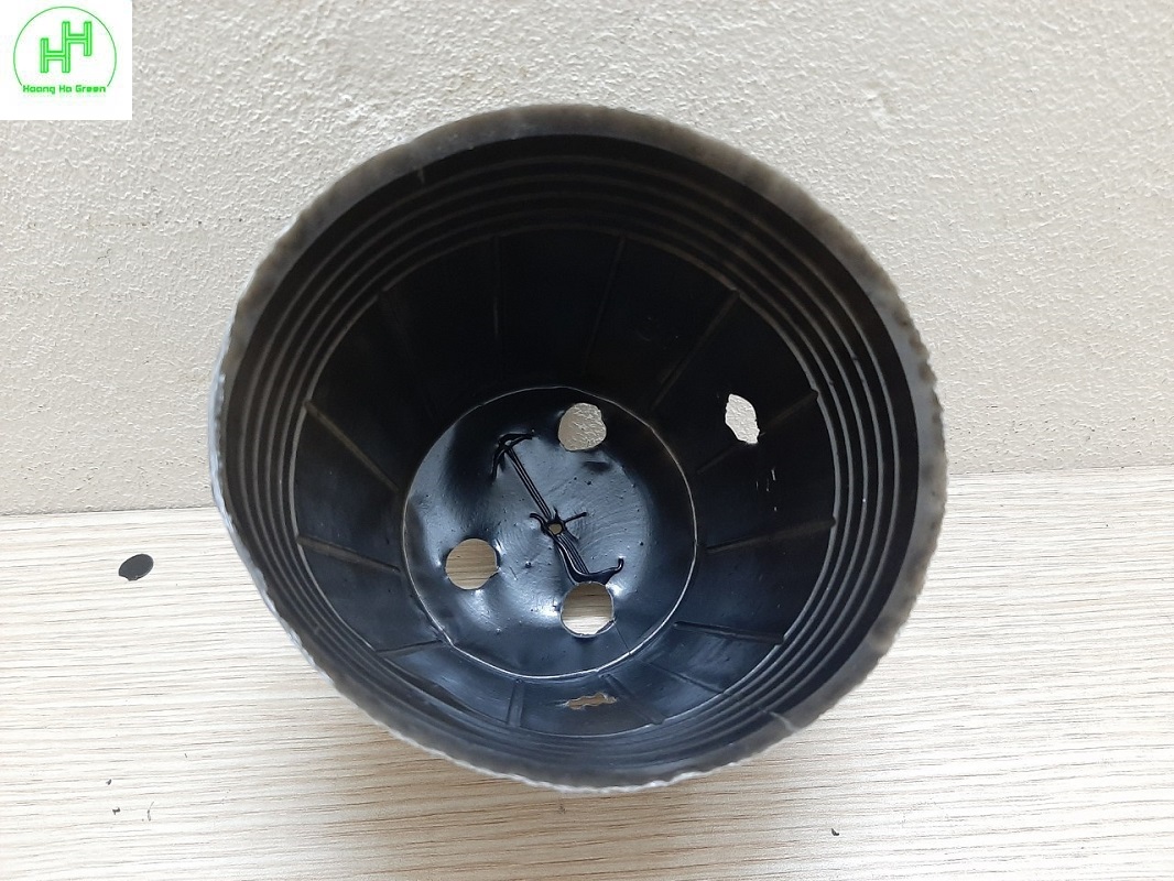 3 kg chậu nhựa mềm ươm cây 12x10 - bịch, túi bầu ươm cây 12x10; đường kính miệng x cao: 9x9cm