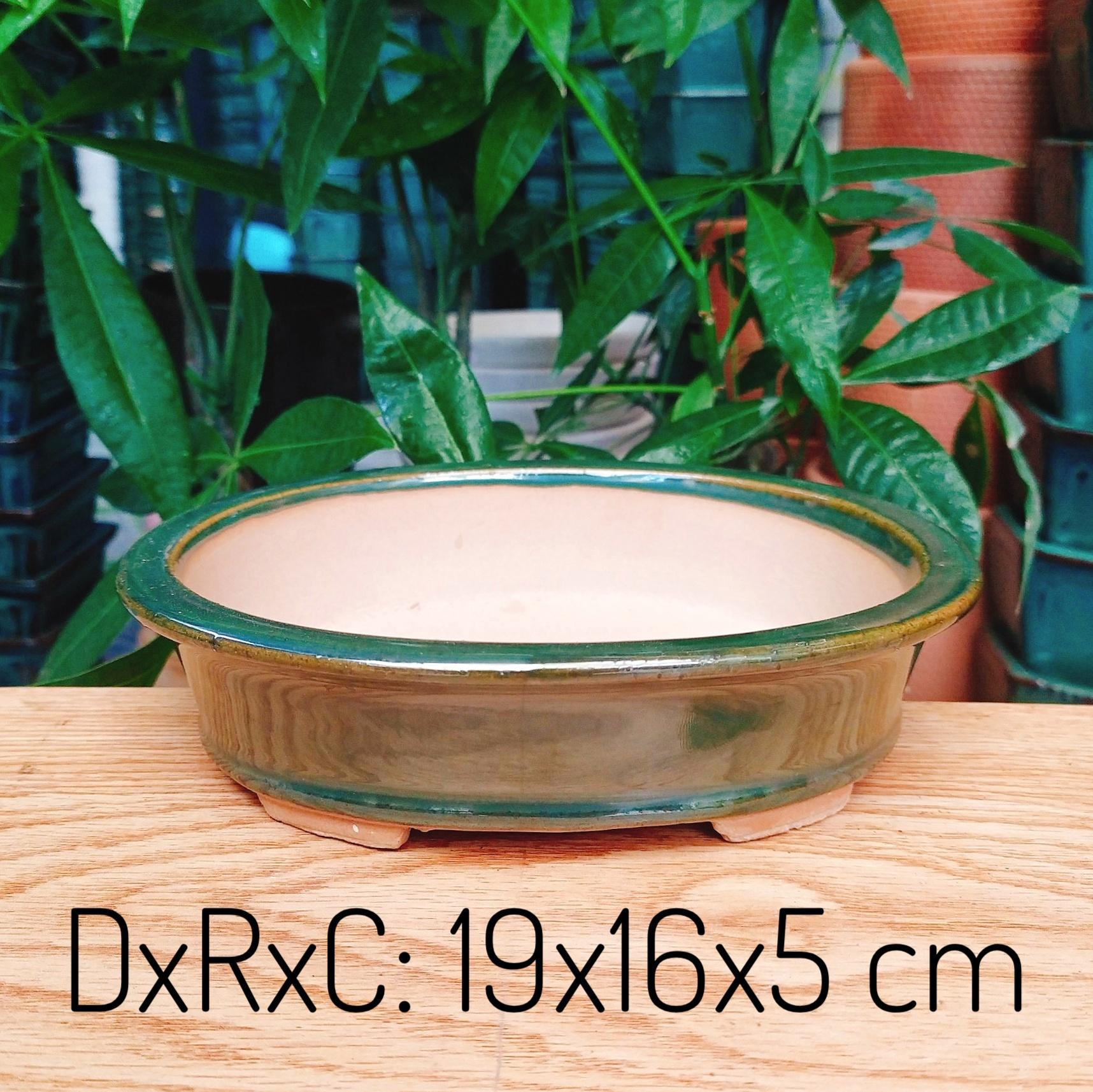 [HCM]Chậu Sứ Trồng Cây Cảnh Để Bàn Cây Nội Thất Cây Bonsai Hoa kiểng Hình Bầu dục lớn - Màu Xanh Rêu Cổ Làm Từ Chất Liệu Men Sứ Bát Tràng Cao Cấp kích thước 19x16x5cm Hình Bầu Dục Siêu Đẹp