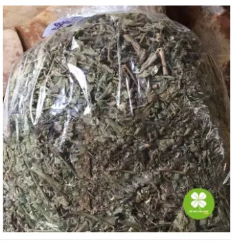 Cây cải trời (gói 1kg khô) - DTX175