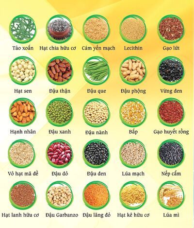Sữa Bột ngũ cốc 25 loại hạt Green Nutri 750g