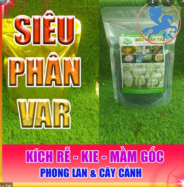 Siêu phân var - chế phẩm ngọc linh cao cấp 500g