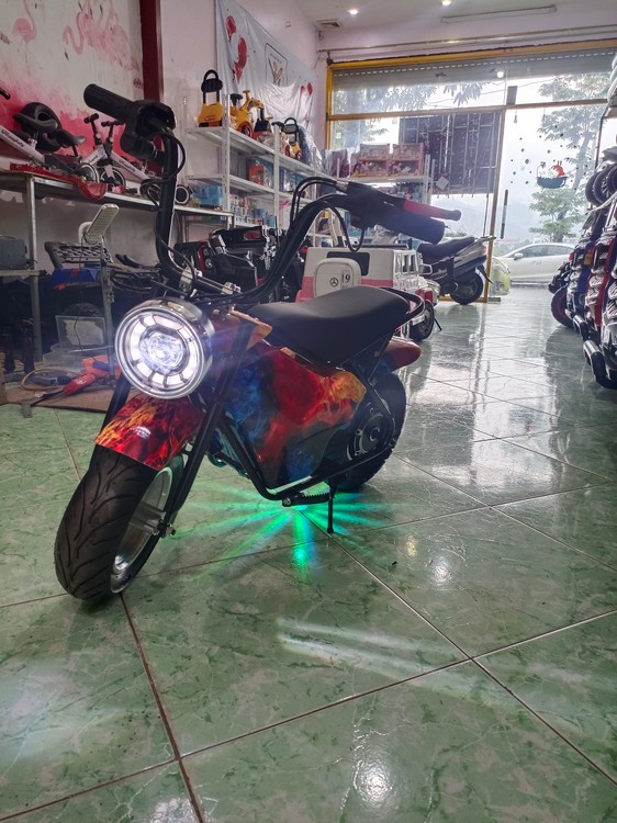 xe moto mini cukake 350w