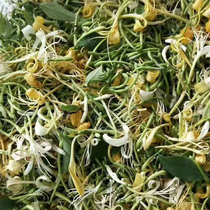 [Túi lớn loại 1kg] Kim ngân hoa sấy khô - Hàng sạch chuyên dùng để pha trà để hỗ trợ cải thiện sức khỏe