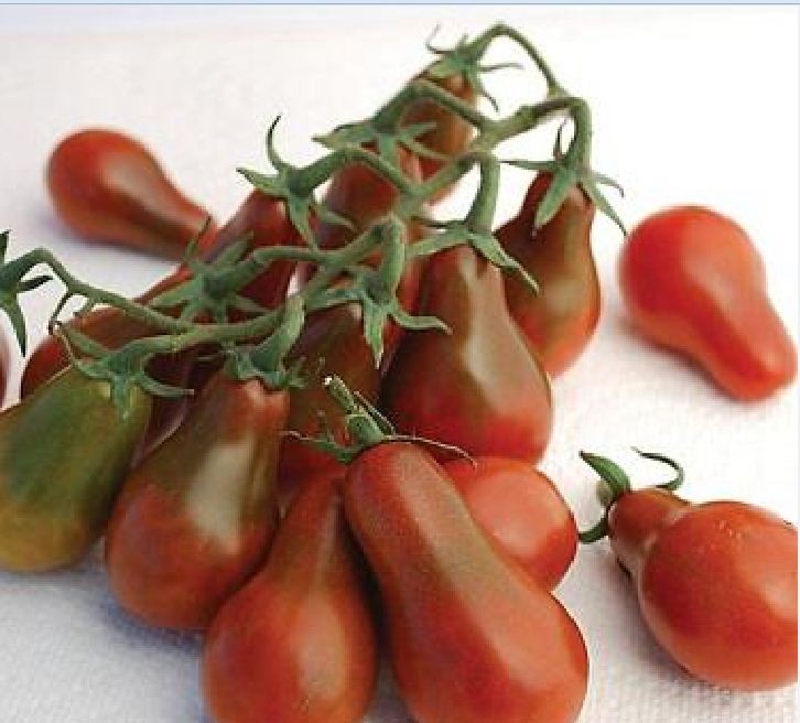 Hạt giống cà chua quả lê đỏ - Gói 30 Hạt