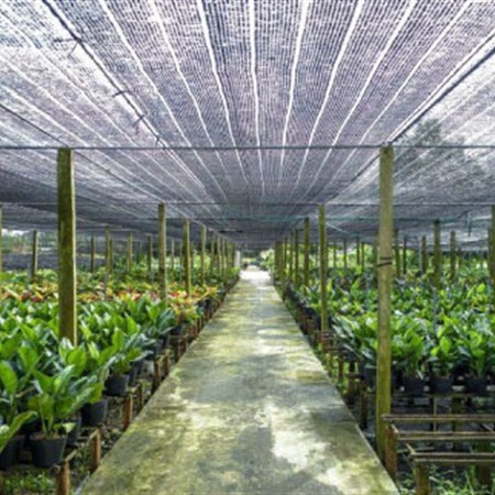 5m lưới thái 70% khổ 2m CHE NẮNG VƯỜN HOA