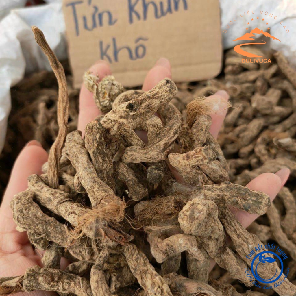 Rễ tứn khửn khô phơi sấy từ rễ tứn khửn tươi rừng tự nhiên giúp bổ thận tráng dương, tăng cường sinh lý nam giới