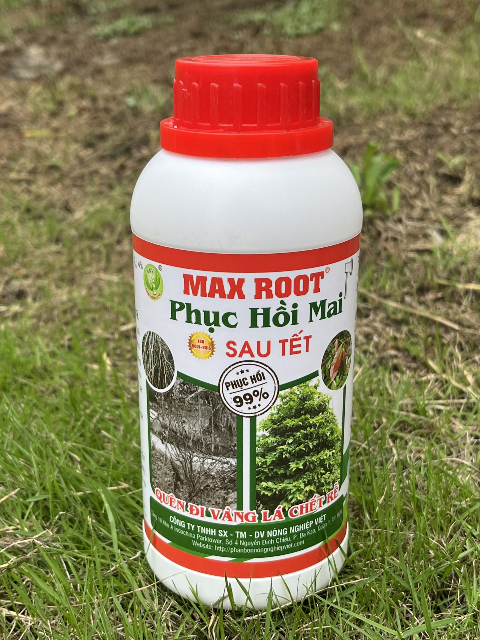 MAX ROOT _ PHỤC HỒI MAI SAU TẾT CHAI 500ML
