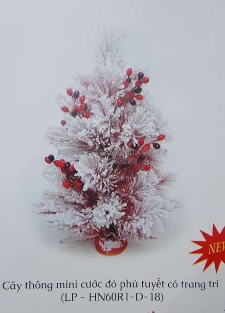 Cây thông mini màu đỏ phủ tuyết 60cm