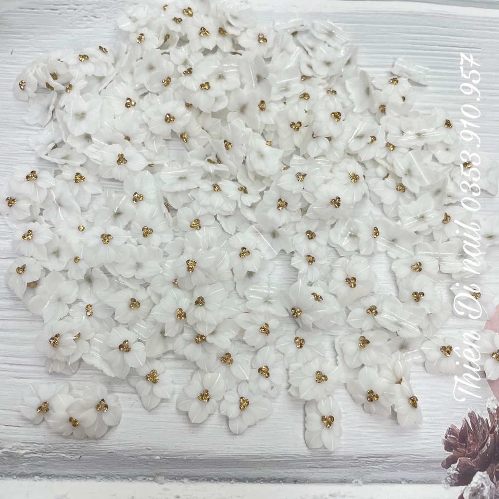 Hoa chân - hoa bột nail - hoa gắn móng chân MOON NAIL