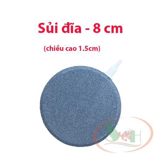 Đĩa đá xám dẹp sủi oxy mịn 4cm, 6cm, 8cm, 10cm, 12cm,15cm oxy hòa tan bể cá tép