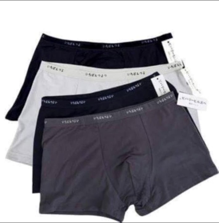 [HCM]Combo 5 Quần Lót Nam Xuất Nhật(Dạng Đùi)
