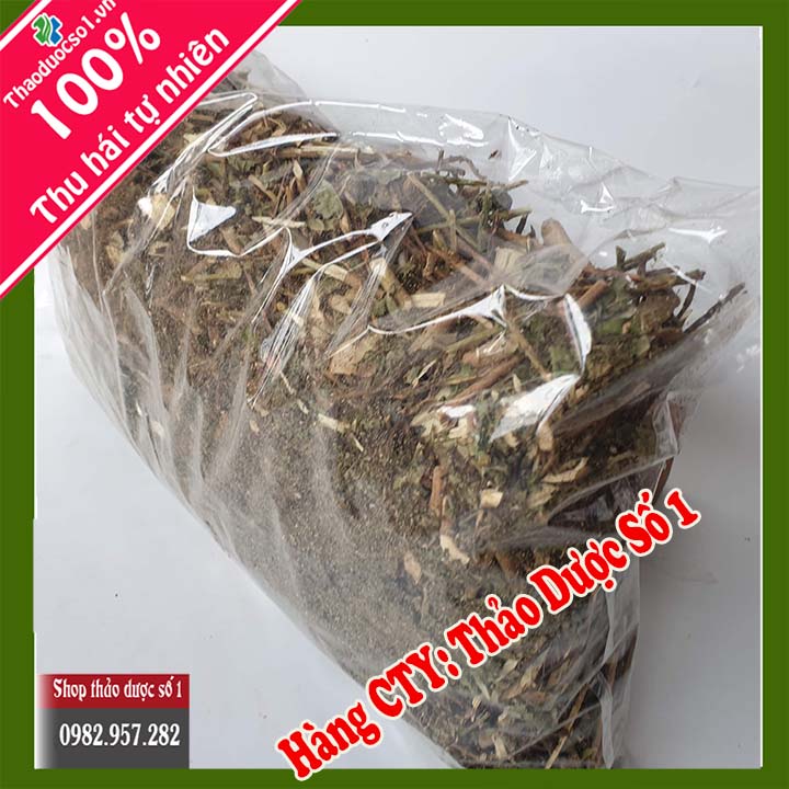 Cây đuôi chuột (1kg khô) - Hàng CTY Thaoduocso1