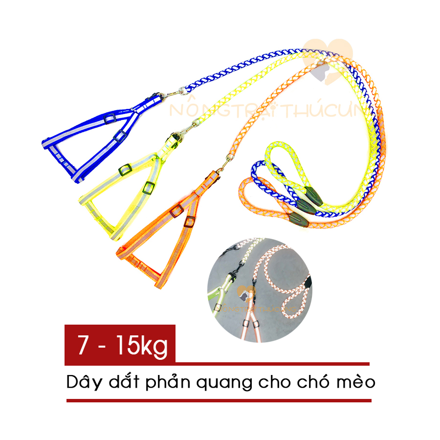Dây dắt phản quang cho chó 7-15kg -