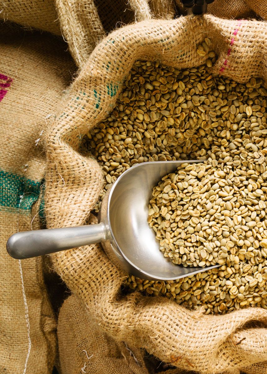 [Túi 1kg Cà Phê Nhân Xanh] Cà phê Nhân Sống Robusta Chưa Rang