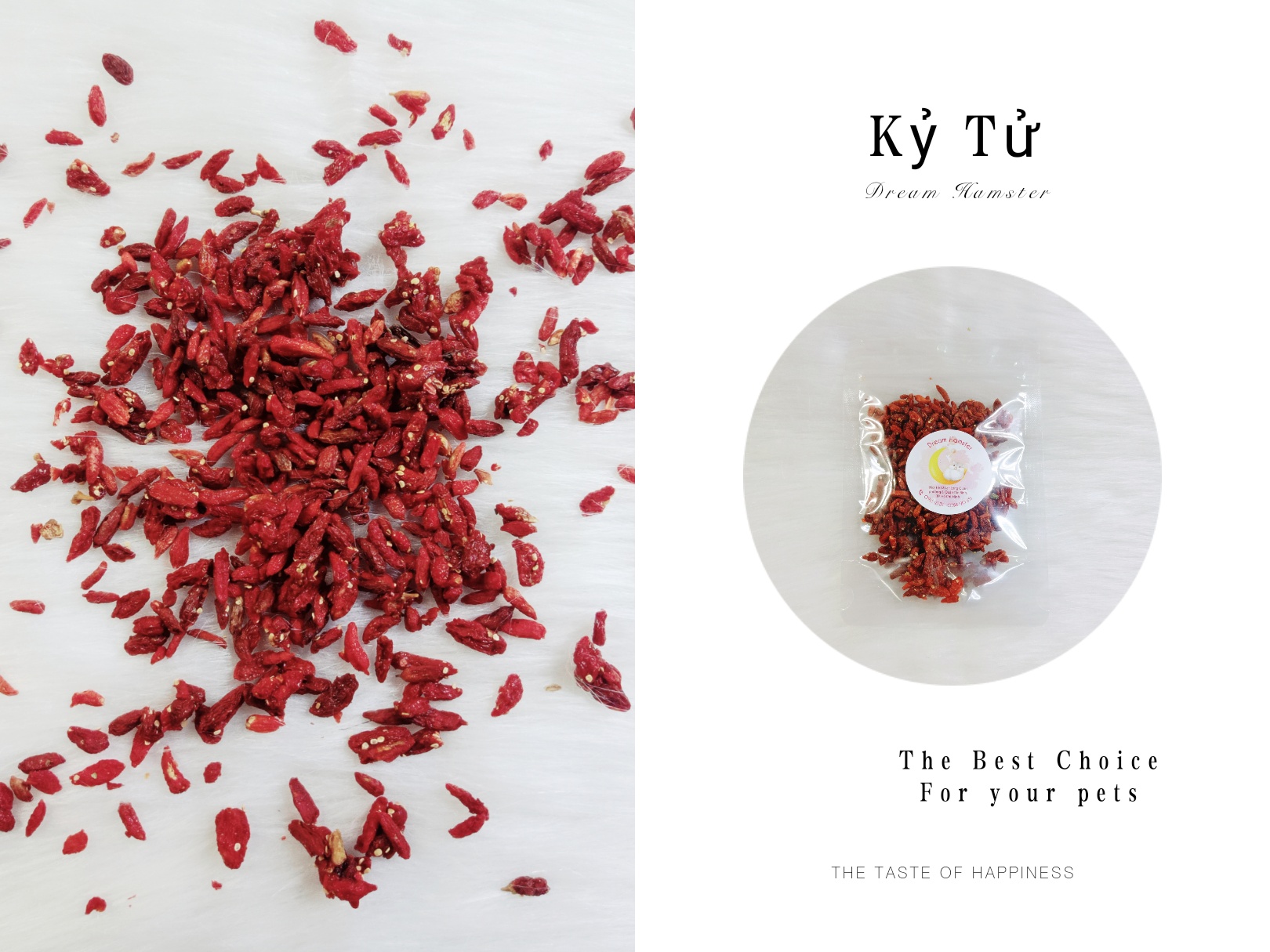 K.y t.u cho Hamster