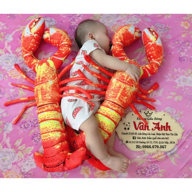 Gối ôm 3d tôm hùm