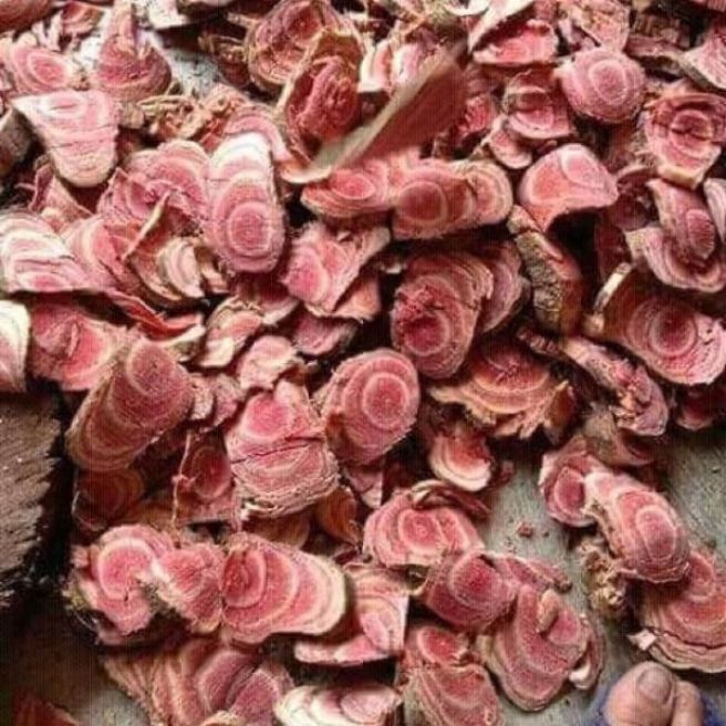 sỉ toàn quốc 2kg cây cỏ máu