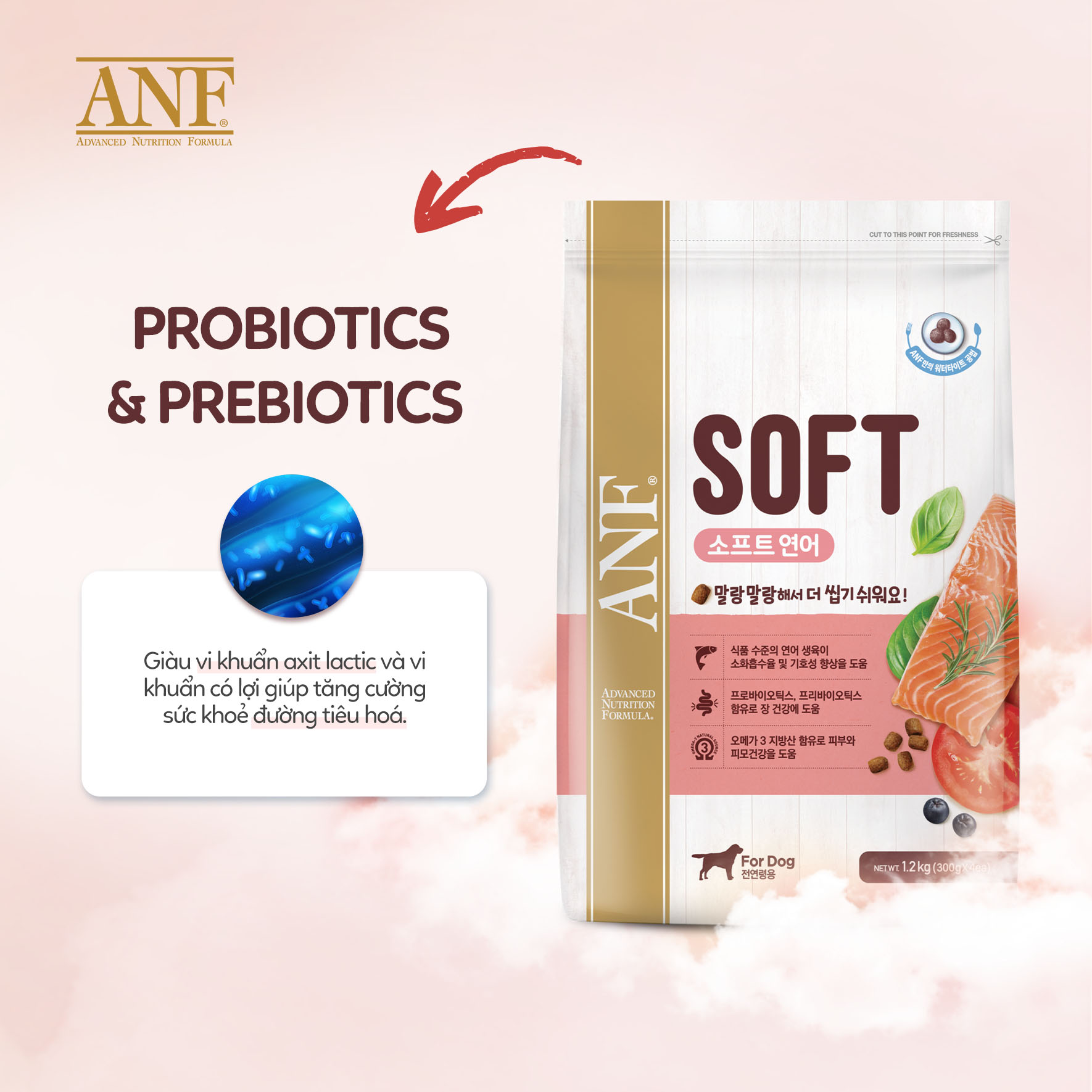 Thức Ăn Hạt Mềm ANF SOFT Cho Chó Mọi Lứa Tuổi Dễ Tuôi Hoá Từ Hàn Quốc - Vị Thịt Gà/Cá Hồi 1.2kg