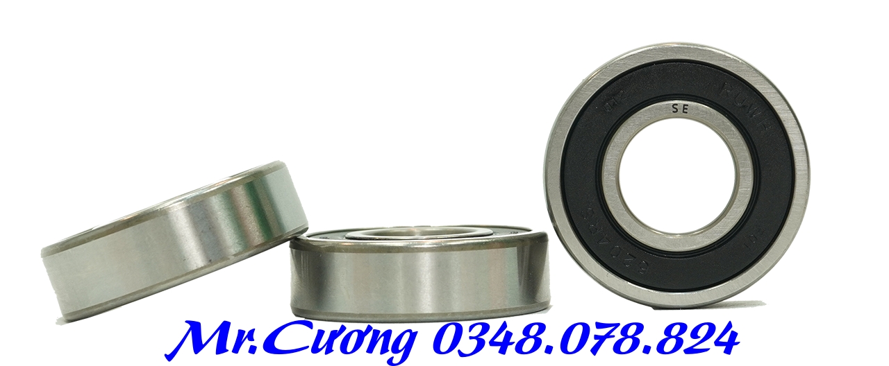 Vòng bi (bạc đạn) xe máy 6905