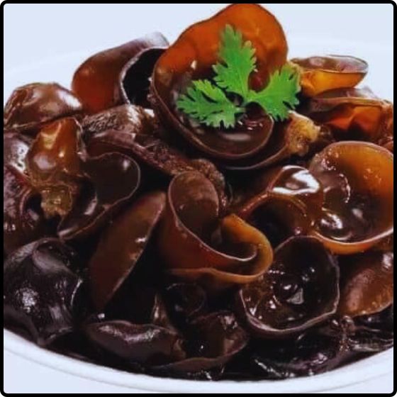 Phôi giống nấm mèo (nấm mộc nhĩ) - (01 kiện 6 bịch nấm)