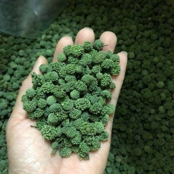 500g nụ tam thất không cuống