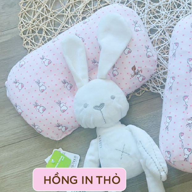 LULLABY - NH357M - Gối chống lõm