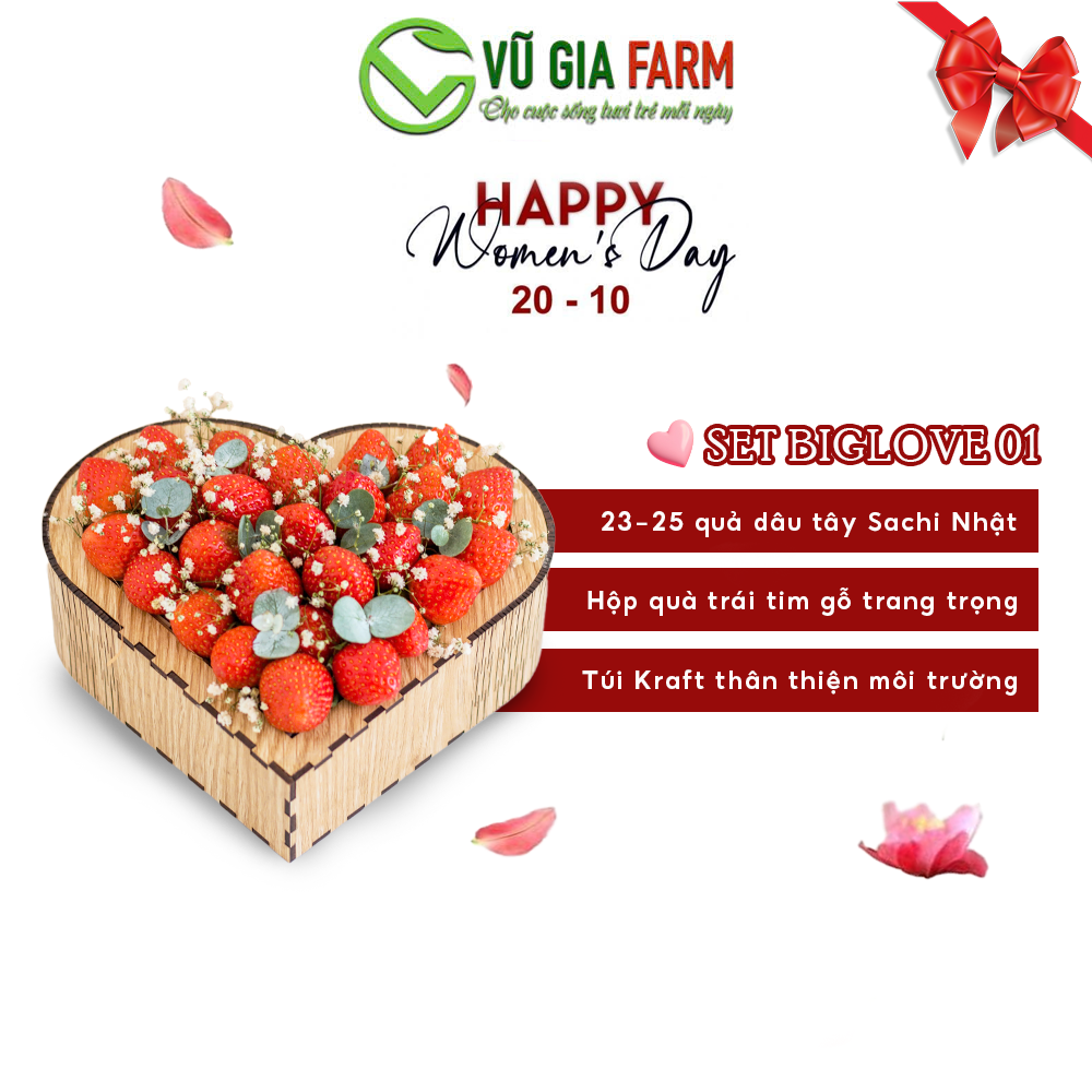 [GIỎ QUÀ] BigLove 01 Dâu Tây Đà Lạt Giống Nhật Sachi