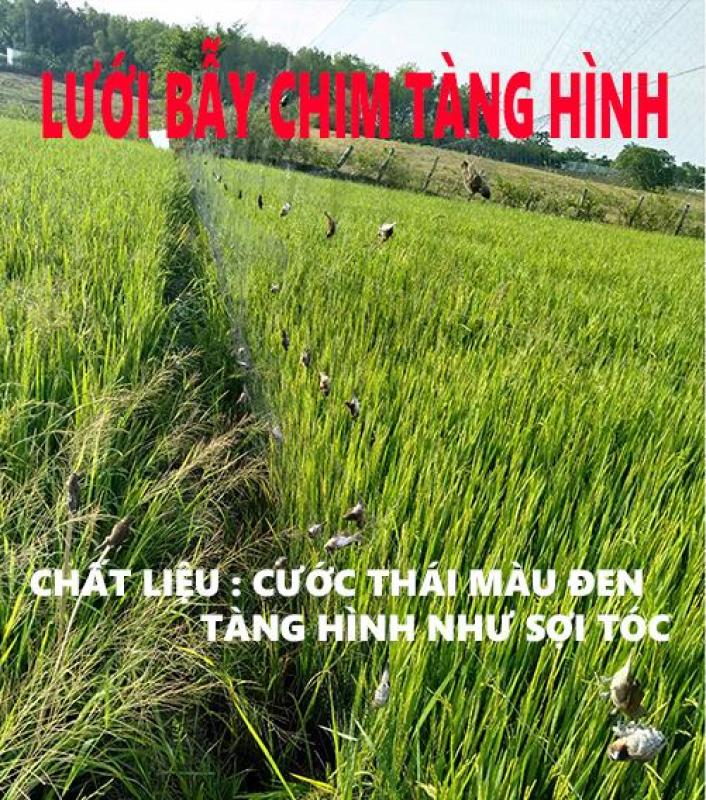 20 mét lưới bẫy chào mào , trao trảo , cu tiểu , tổng hợp chim ngày ( lỗ 5 phân chiều cao 7m 5 dây 4 túi ) lưới cước thái màu đen tàng hình