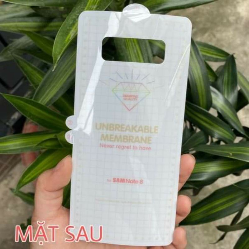Miếng Dán Dẻo PPF Trong Chống Trầy  - Dành Cho Samsung S8 S9 S8+ S9+ S10 S10+ Note8 Note9 Note10 Note10+