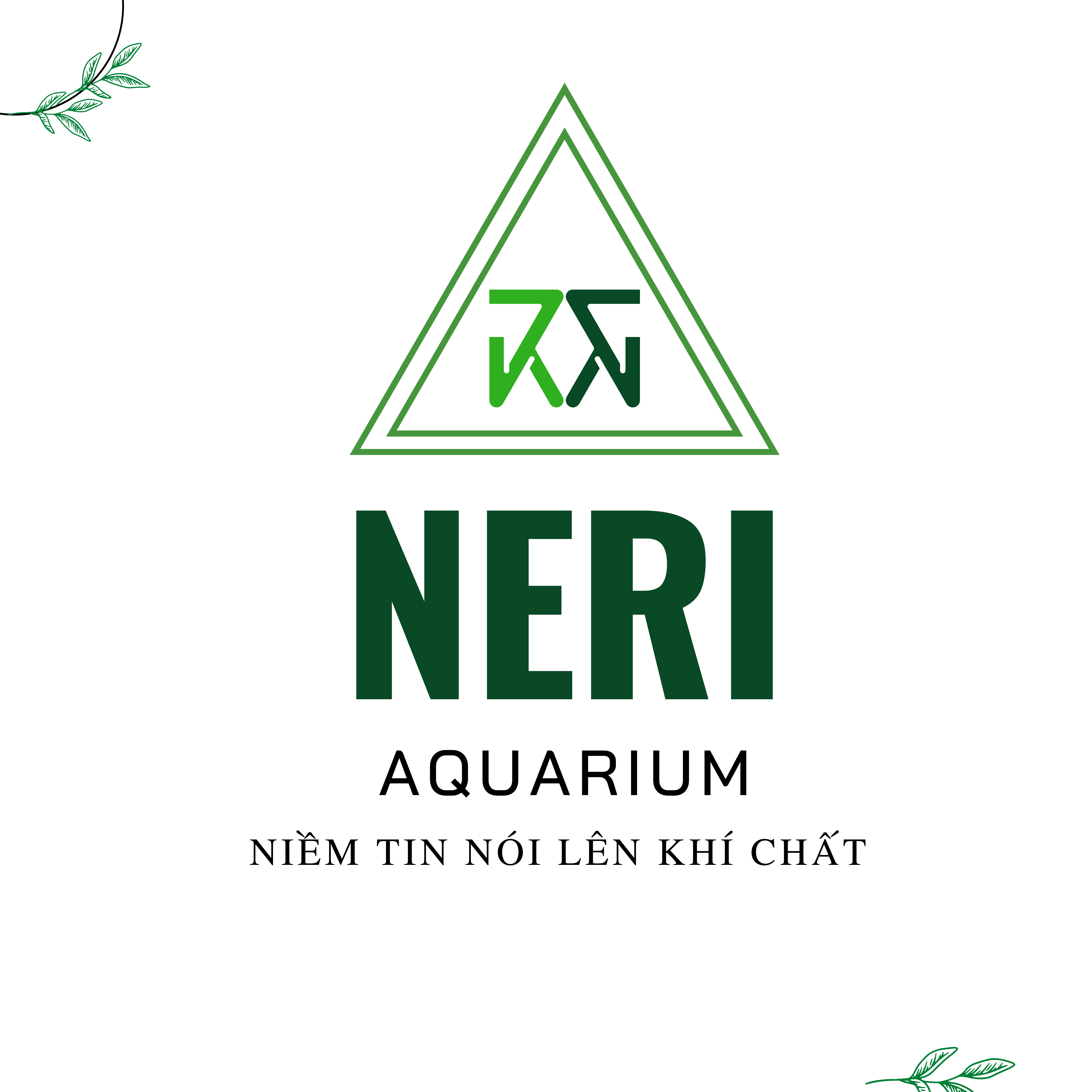 Men vi sinh VS BIO cho hồ cá