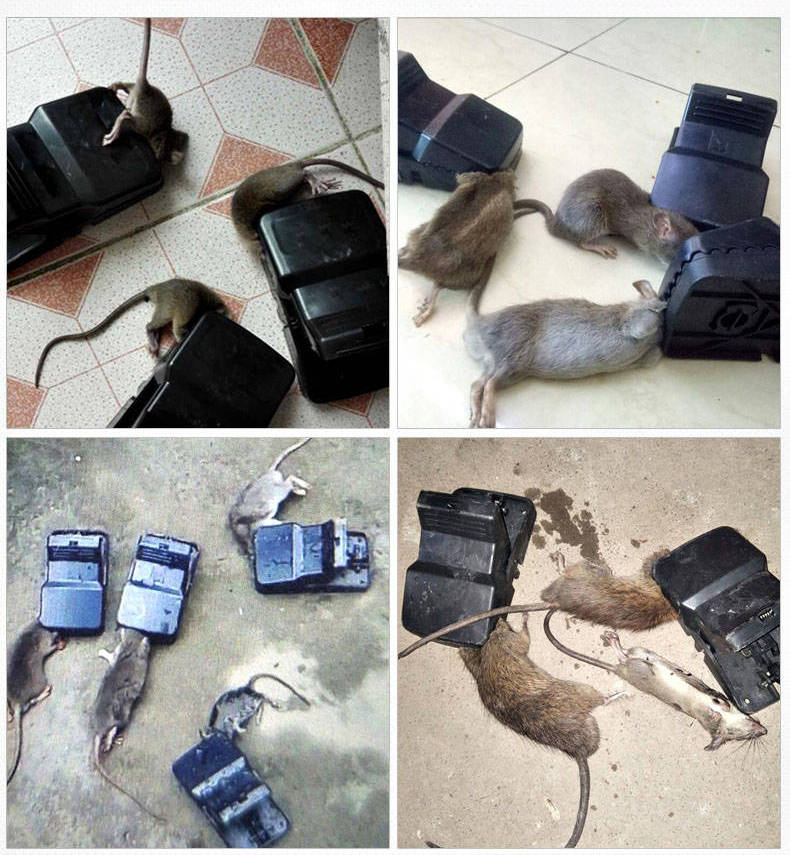 Dụng cụ bẫy chuột siêu nhạy, bẫy gián, sản phẩm thông minh siêu nhạy, siêu hiệu quả