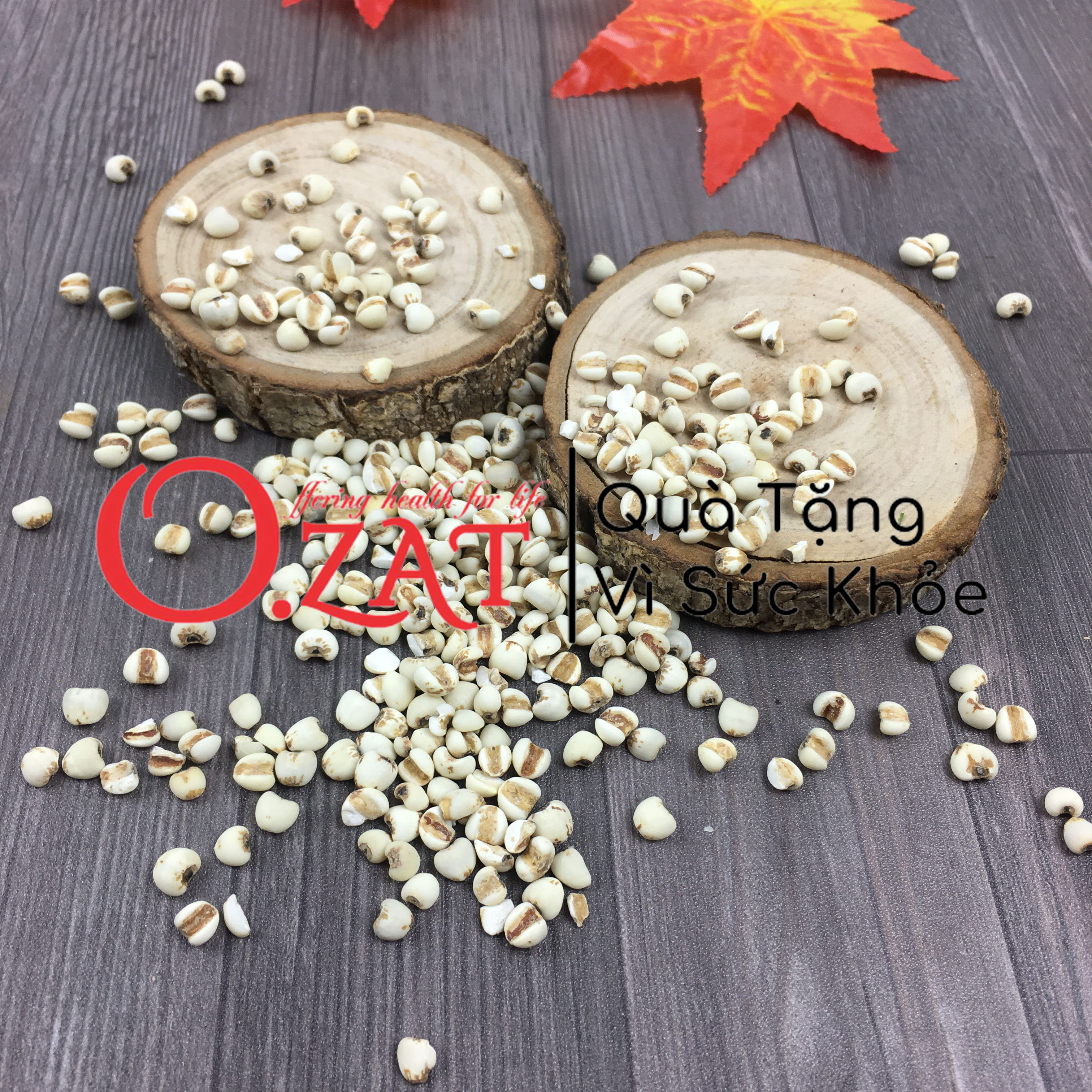 Hạt ý dĩ / bo bo khô O.ZAT 100g