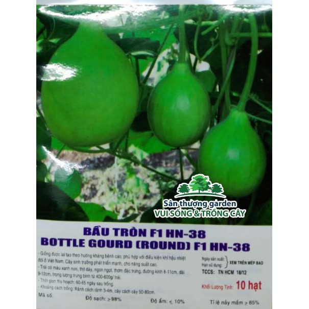 Hạt giống bầu tròn F1 - Gói 10 hạt
